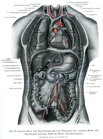 オステオパシーの考え 参考画像